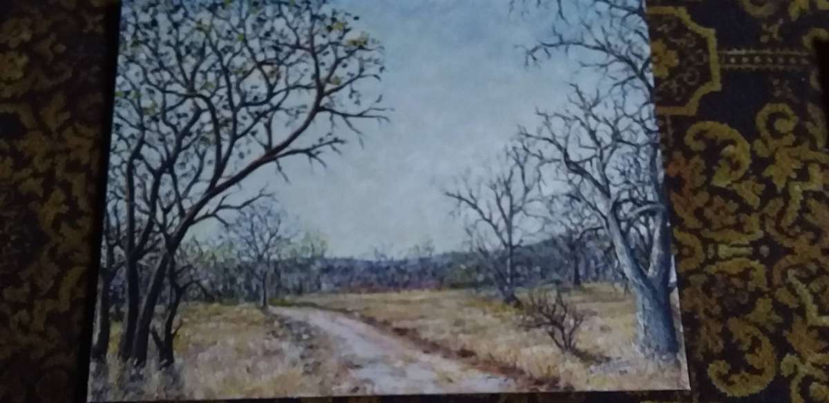 4 x Oil on Boards NO FRAMES