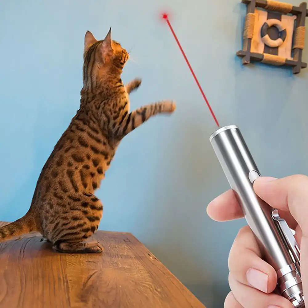 3 in 1 Red Laser Pointer Interactive Torch & Ultraviolet light
