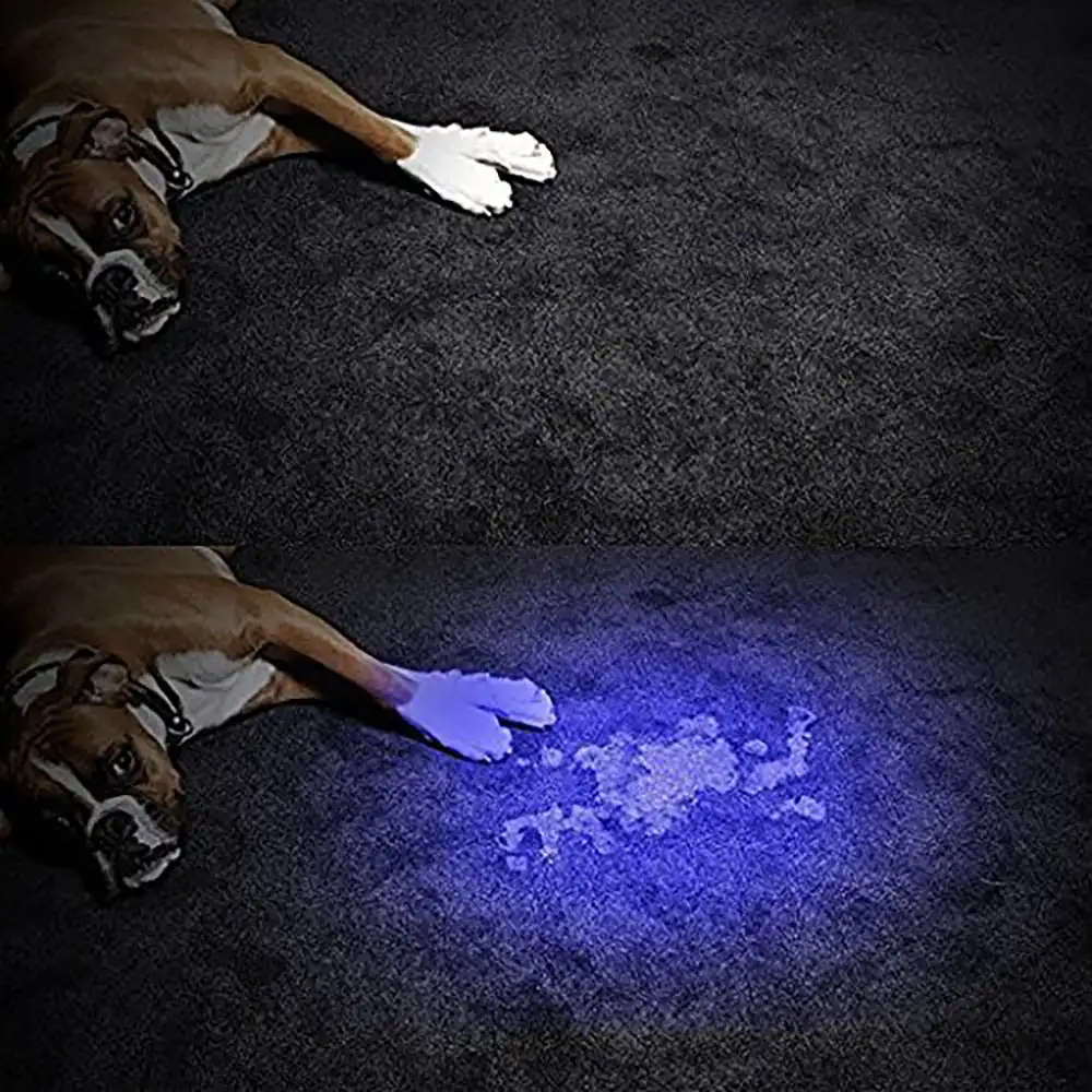 3 in 1 Red Laser Pointer Interactive Torch & Ultraviolet light