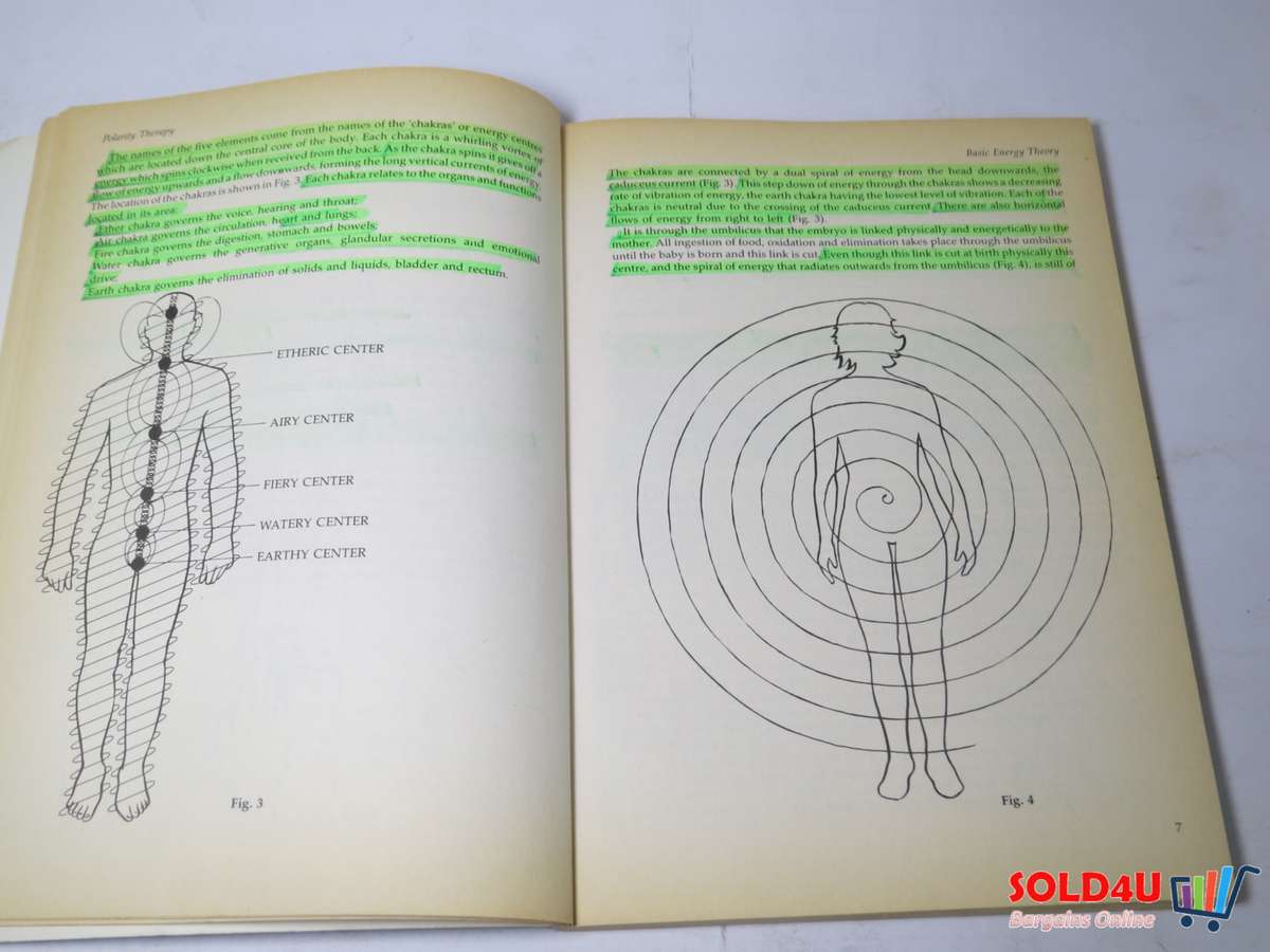 Polarity Therapy - The Power that Heals by Alan M. Siegel