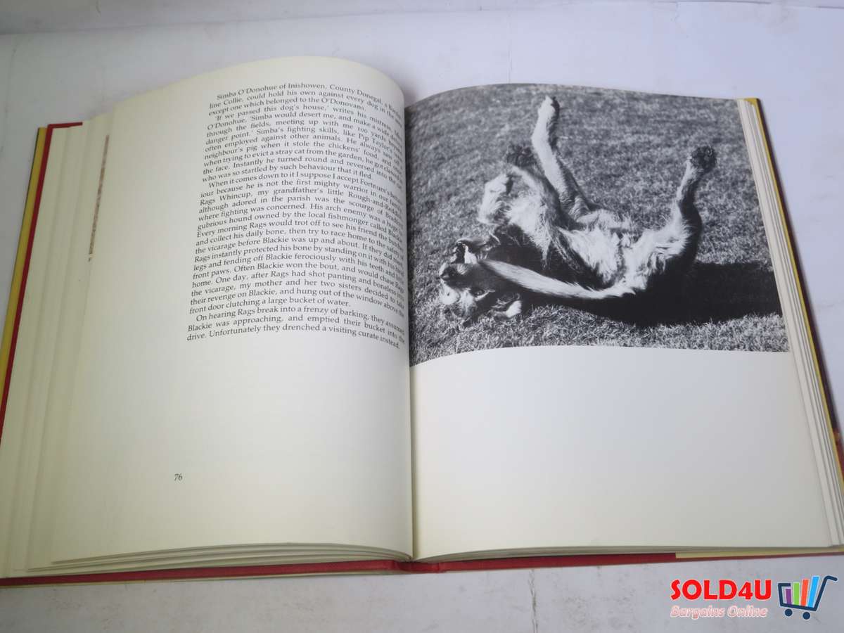 Intelligent and Loyal - A Celebration of the Mongrel - Jilly Cooper