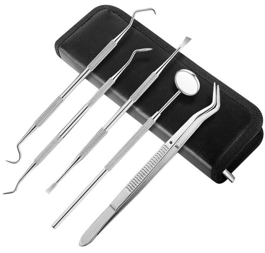 5 Pieces Professional Stainless Steel Dental Scaler Tools Kit Set in a Zip pouch