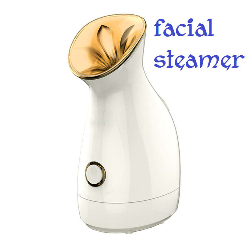 Nano Ionic Warm Mist Facial Steamer