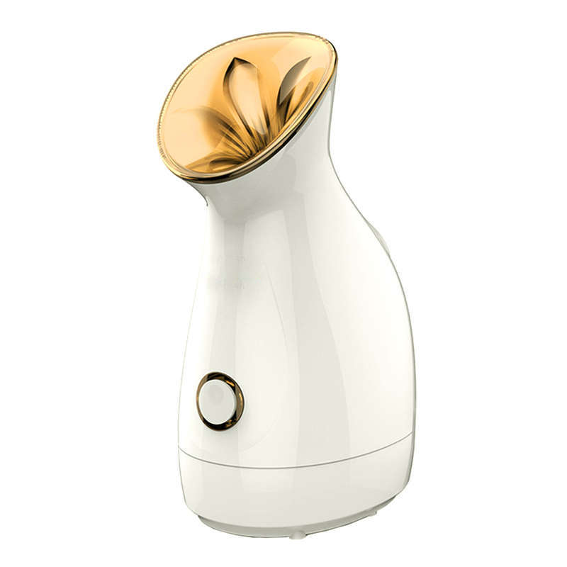 Nano Ionic Warm Mist Facial Steamer