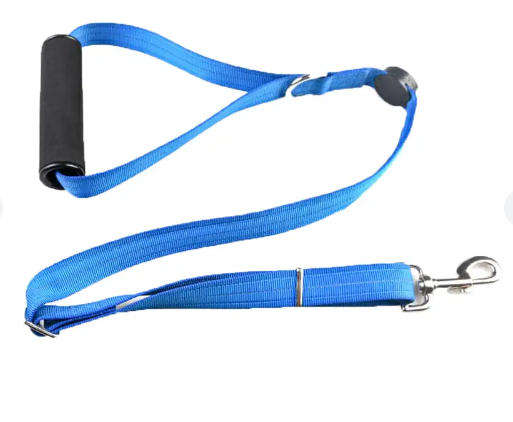 LED Light-up Dog Leash-Blue