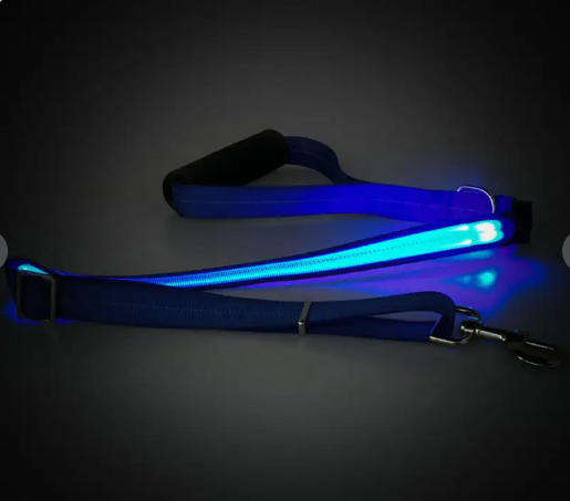 LED Light-up Dog Leash-Blue