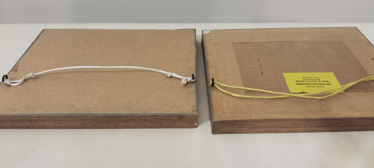 Beautiful Pair of Silkscreen Framed Artworks