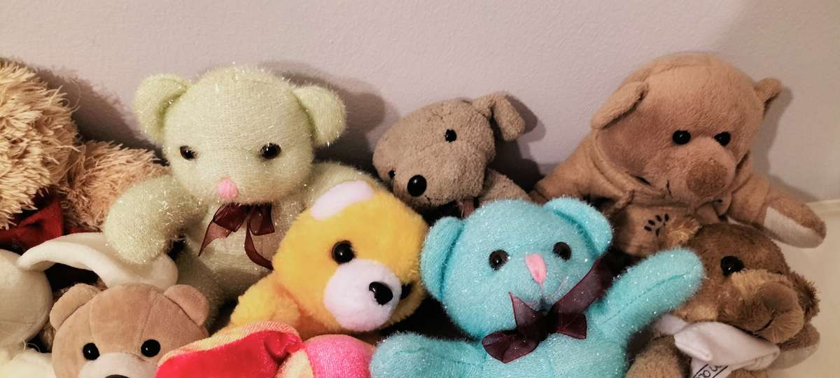 Superb Collection of 15 Mini Teddies.