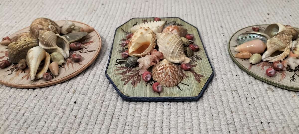 Very Well Made Set of Three Circa 1980 Shell Wall Decorations.