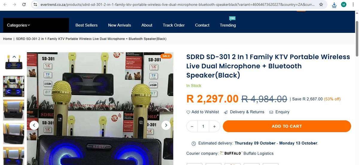 SDRD SD-301 2 in 1 Family KTV Portable Wireless Live Dual Microphone + Bluetooth Speaker