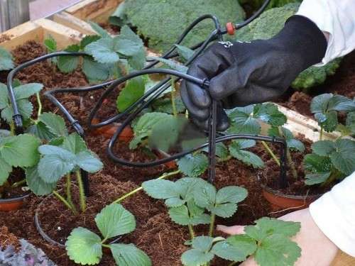 10M Patio Mist-Cooling Kit - COMPLETE UNIT!