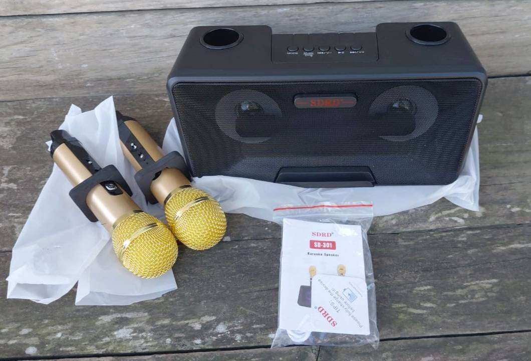 SDRD SD-301 2 in 1 Family KTV Portable Wireless Live Dual Microphone + Bluetooth Speaker