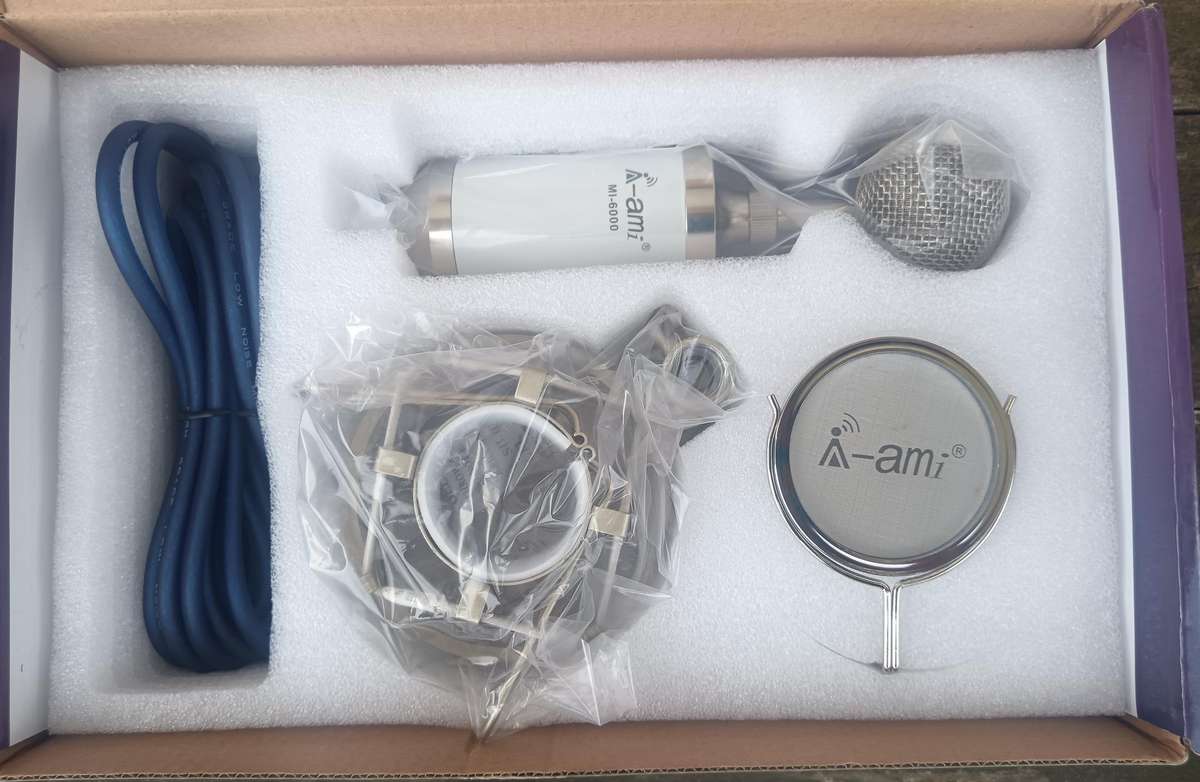 Professional Studio Microphone