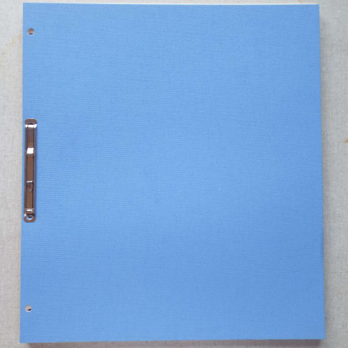 Blank Stamp Album Pages - 40 Pages with Glassine Protective Sheets