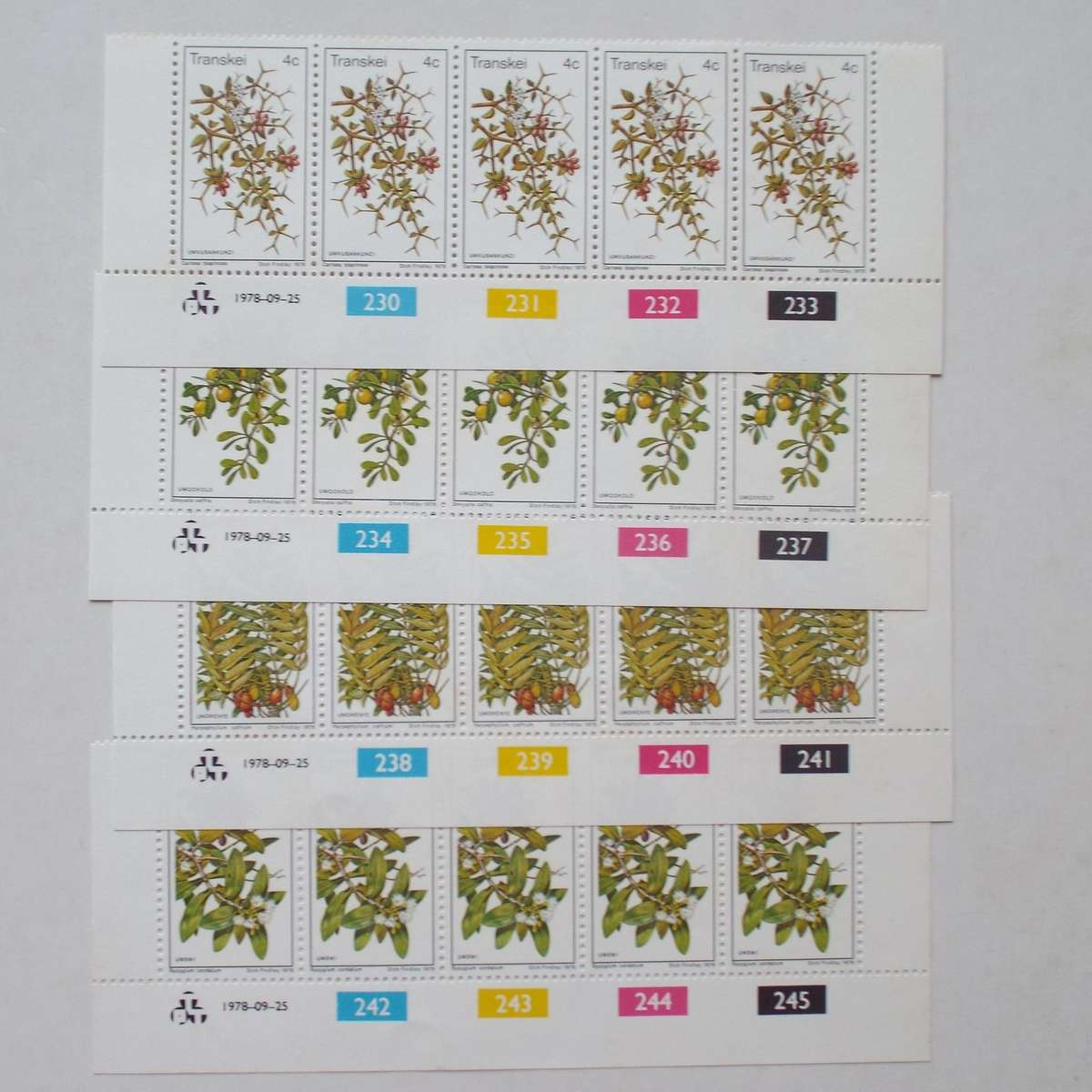 Transkei - 1978 Edible Wild Fruits - Full Set of Controls - MNH