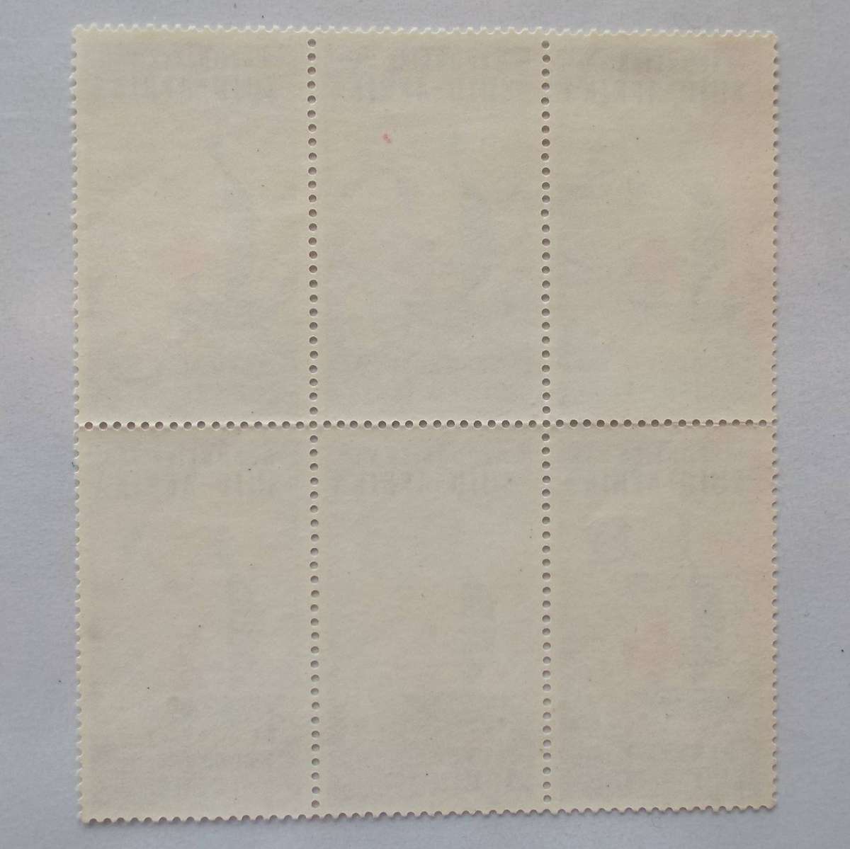 RSA - 1963 Centenary of Red Cross - 2,5c - Block of 6 - UMM