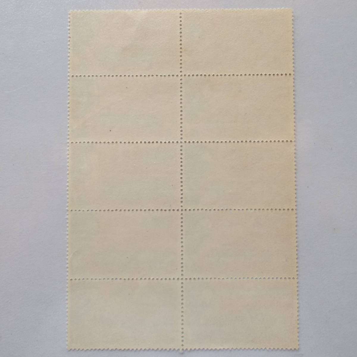 RSA - 1969 First Heart Transplant (Prof Barnard) - 2,5c - Block of 10 - UMM