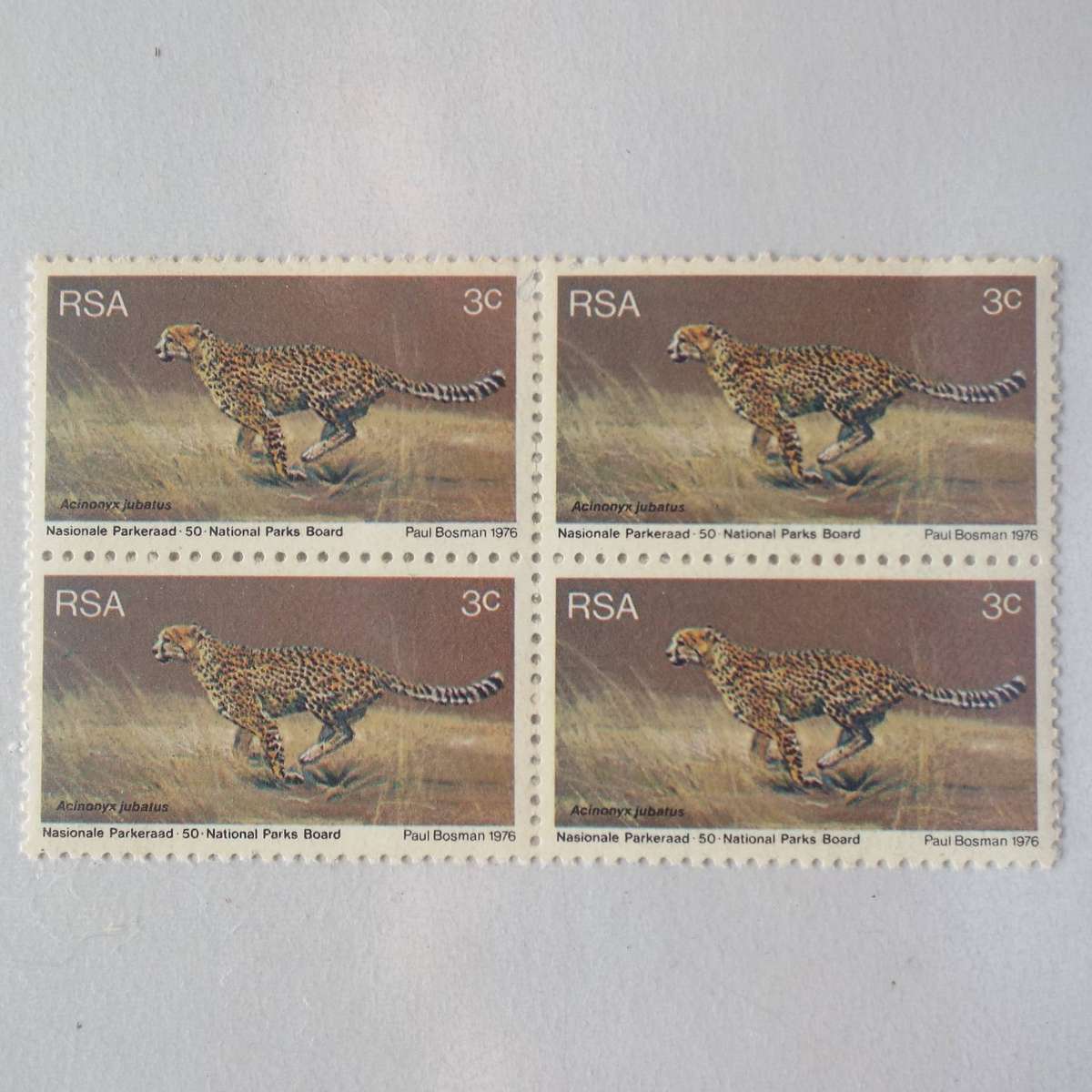 RSA - 1976 World Environmental Year - 3c Cheetah - Block of 4 - UMM