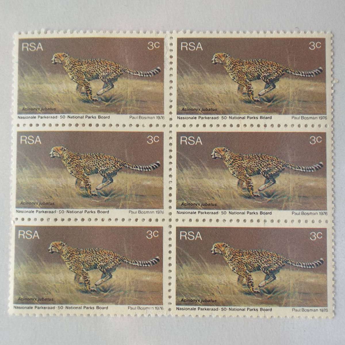 RSA - 1976 World Environmental Year - 3c Cheetah - Block of 6 - UMM