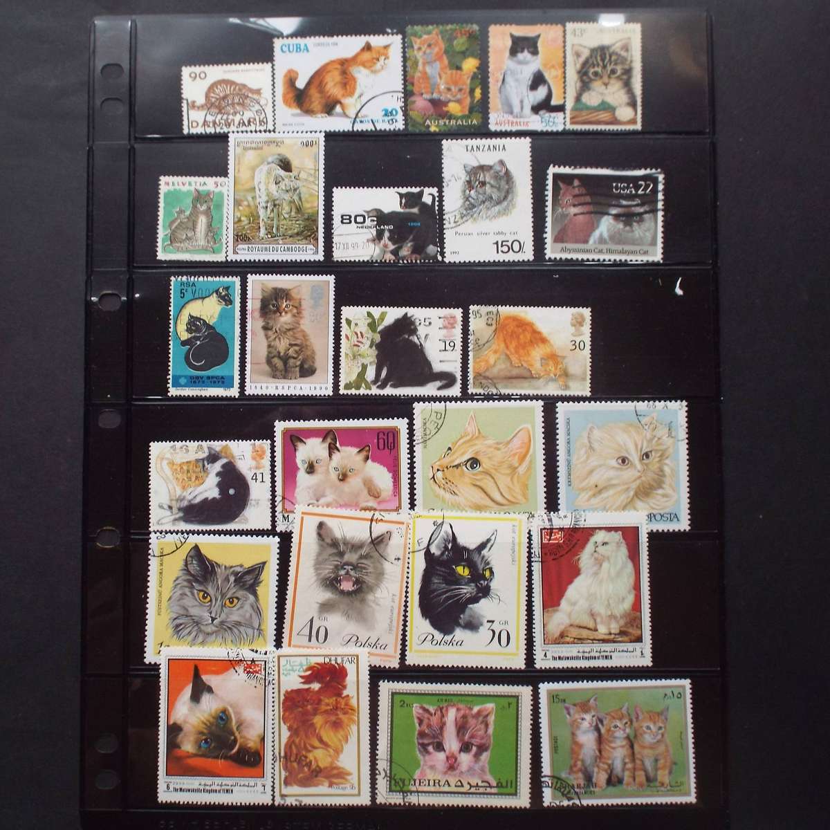 Thematics - Cats - 36 stamps - Mixed World - no duplication