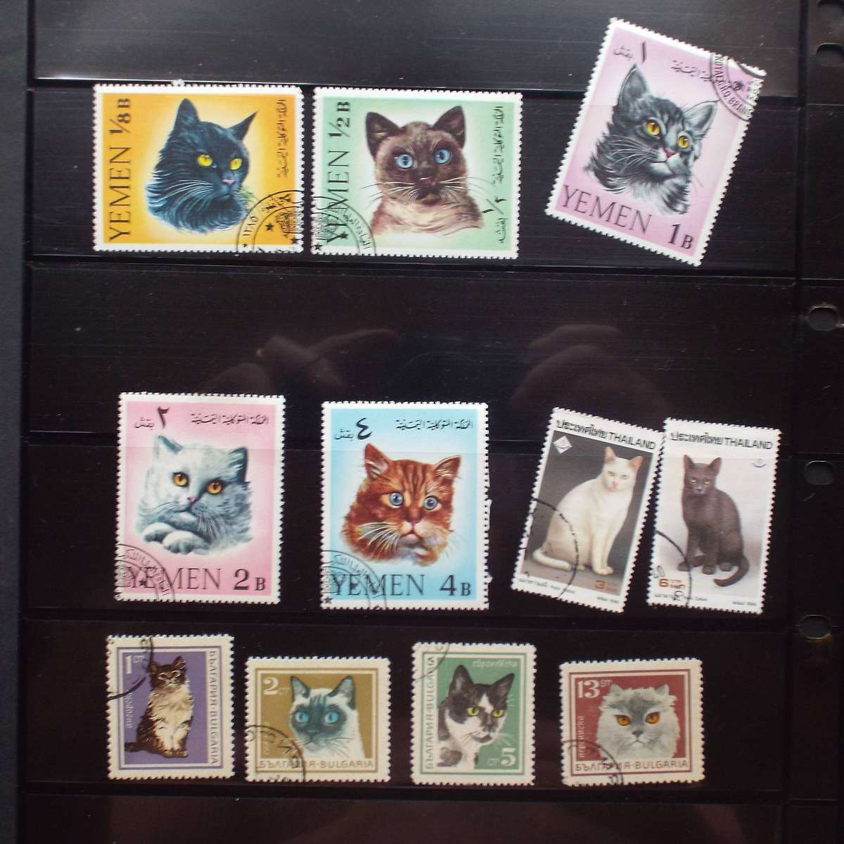 Thematics - Cats - 36 stamps - Mixed World - no duplication