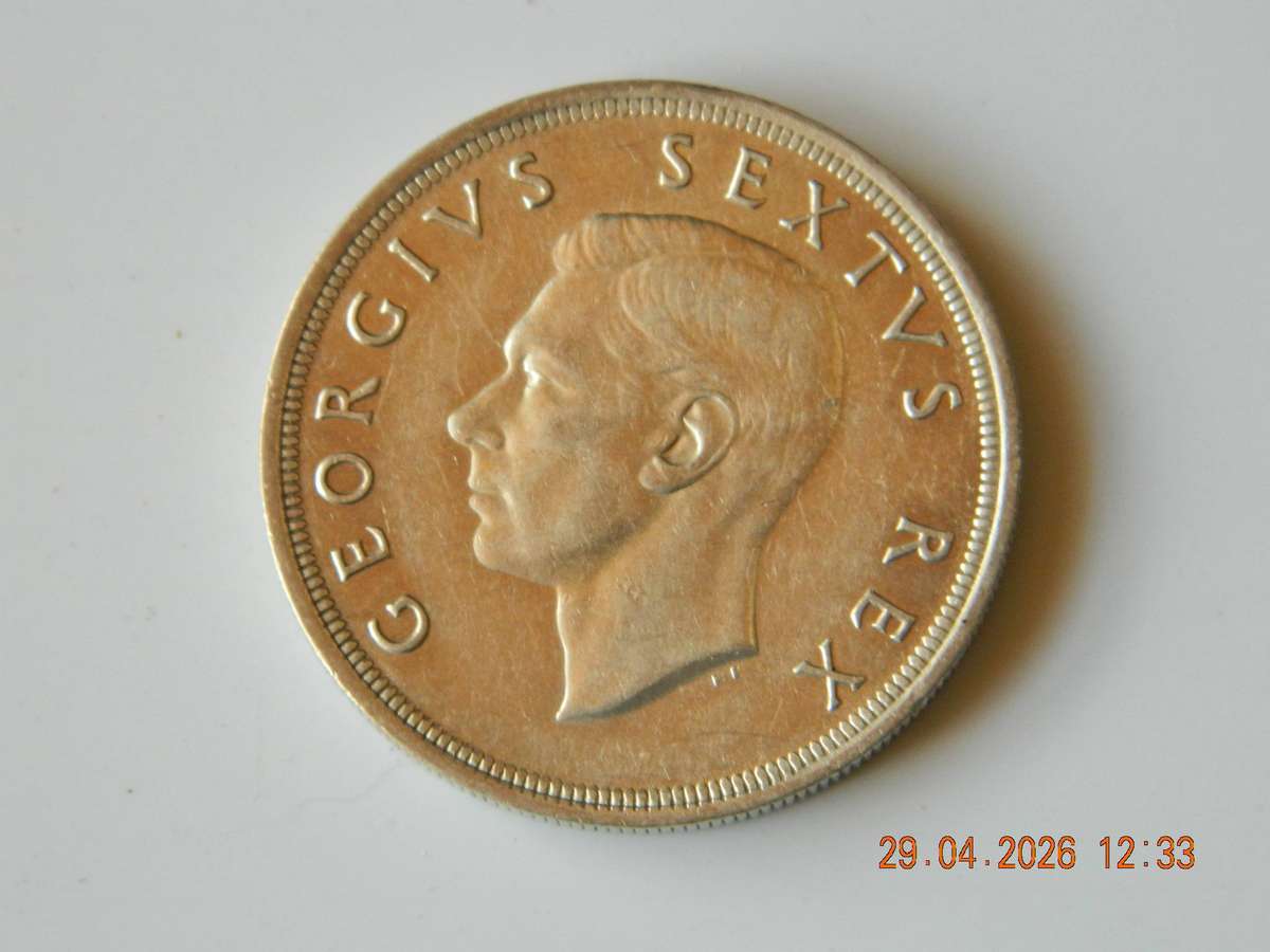 SOUTH AFRICAN UNION   5 SHILLING  COIN  -  1952