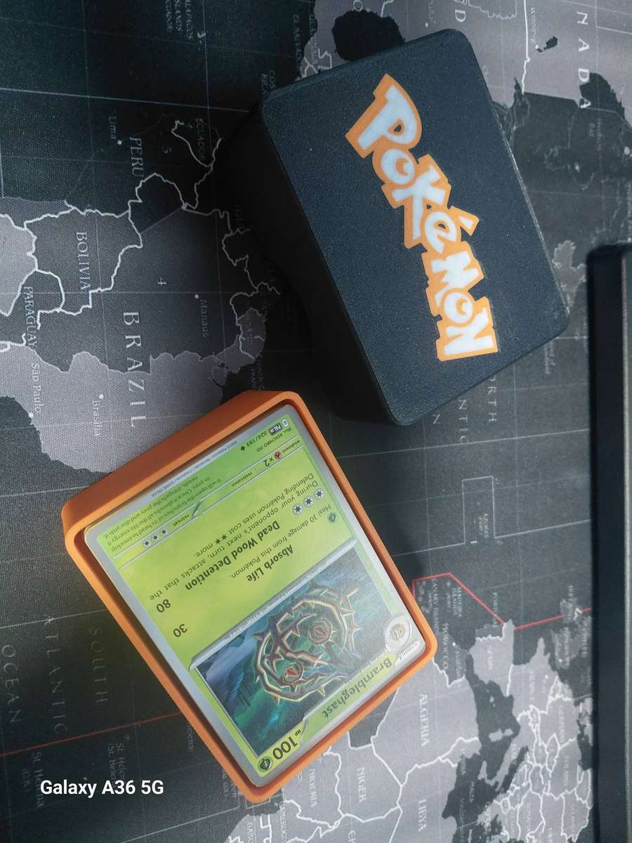 100 Pokemon Cards and Holder