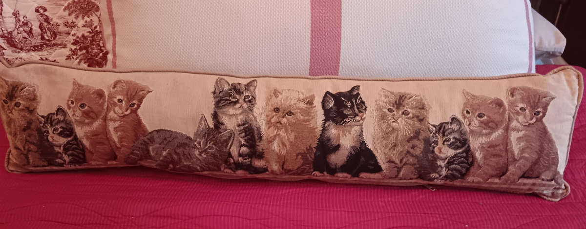 Lombard Tapestry Fabric Cat Cushion