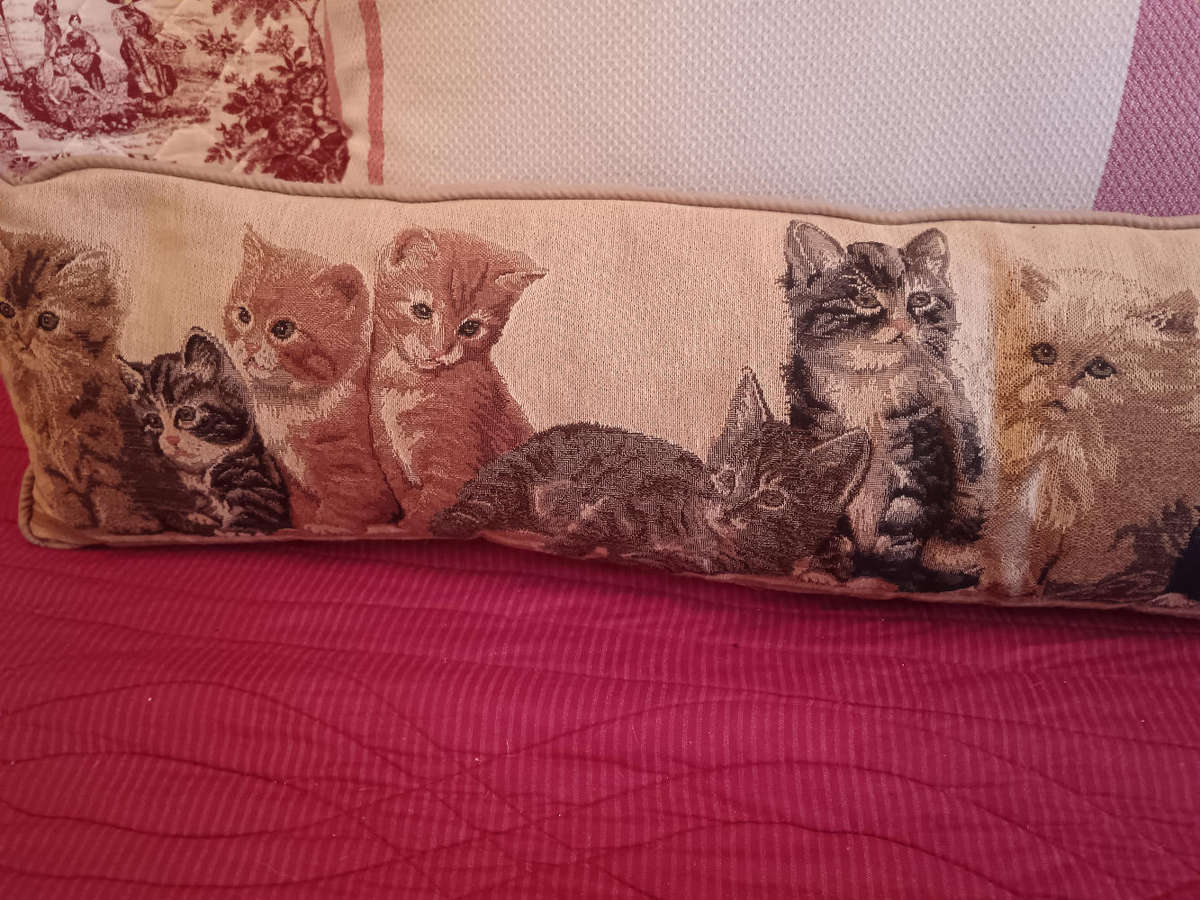 Lombard Tapestry Fabric Cat Cushion