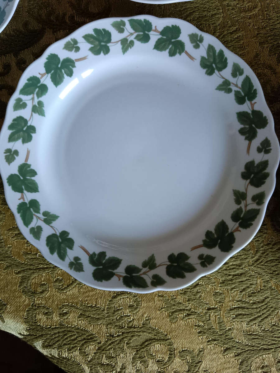 Hutschenreuther "Weinlaub" Maria Coffee/Tea Service for 6 made in Germany