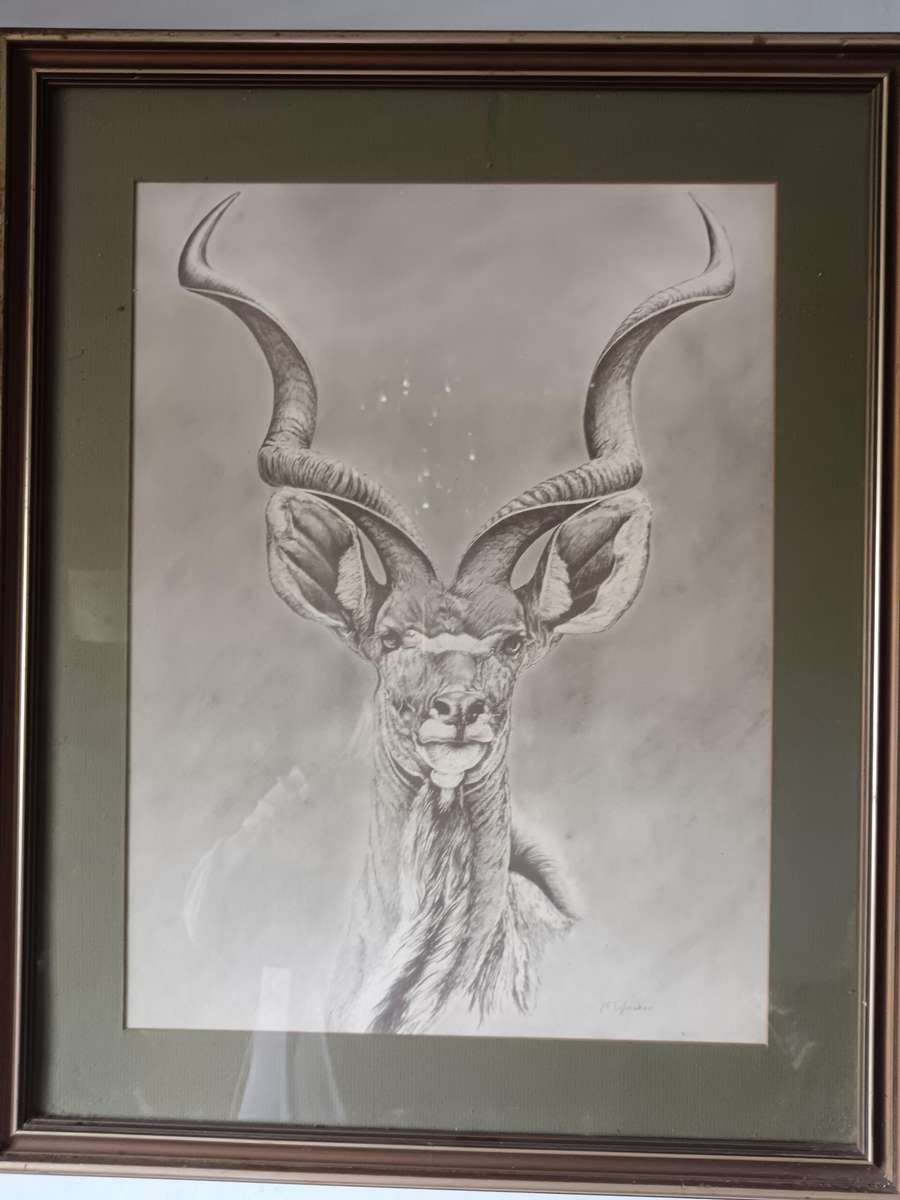 Beautiful Pencil Art Print of Kuda Framed