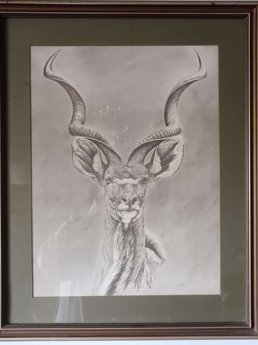 Beautiful Pencil Art Print of Kuda Framed