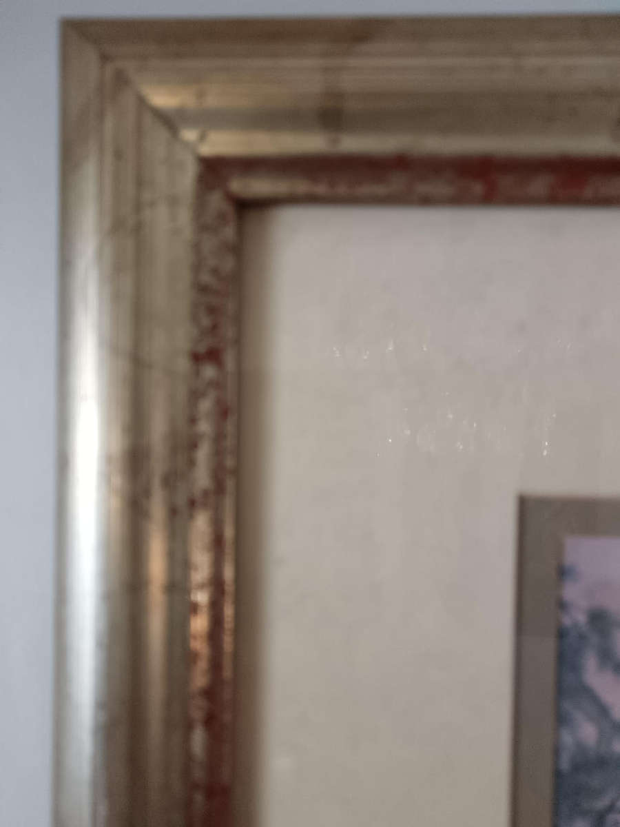 Framed Chinese painting signed top right corner.