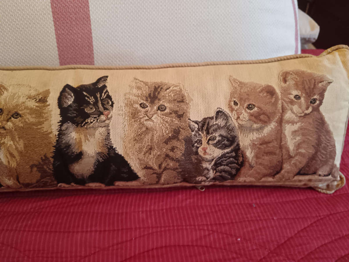 Lombard Tapestry Fabric Cat Cushion