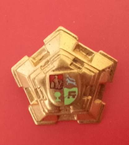 SADF-BRASS MAJOR RANK CASTLE PIP