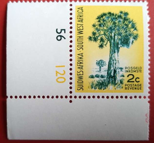 SWA 1961 2C QUIVER TREE 1ST DECIMAL ISSUE MNH WITH CONTROL NUMBER
