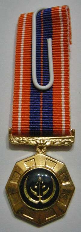 Miniature Pro Patria Medal
