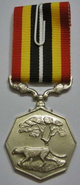 Full Size Southern Africa Medal Uniface Susp Short Grass Crisp Detail Matte Nr @ Back