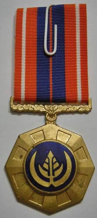 Full Size Pro Patria Medal Numbered at Back Note Chip in Enamel @ Top Left of Aloe