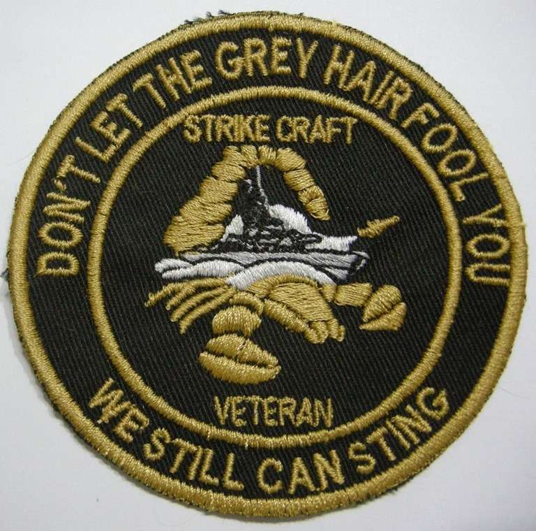 SA Navy Strike Craft Veteran Badge Embroidered on Material 87mm