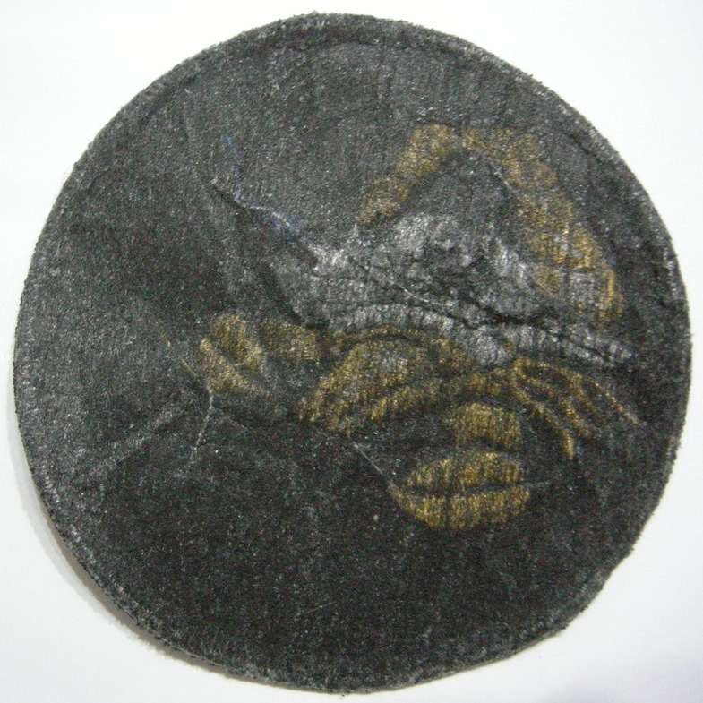 SA Navy Strike Craft Patch Embroidered on Material 90mm