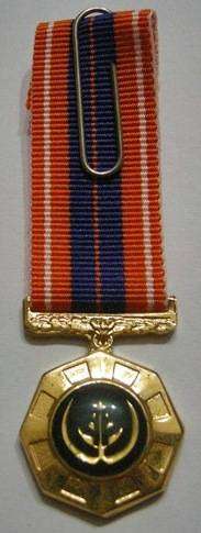 Miniature Pro Patria Medal