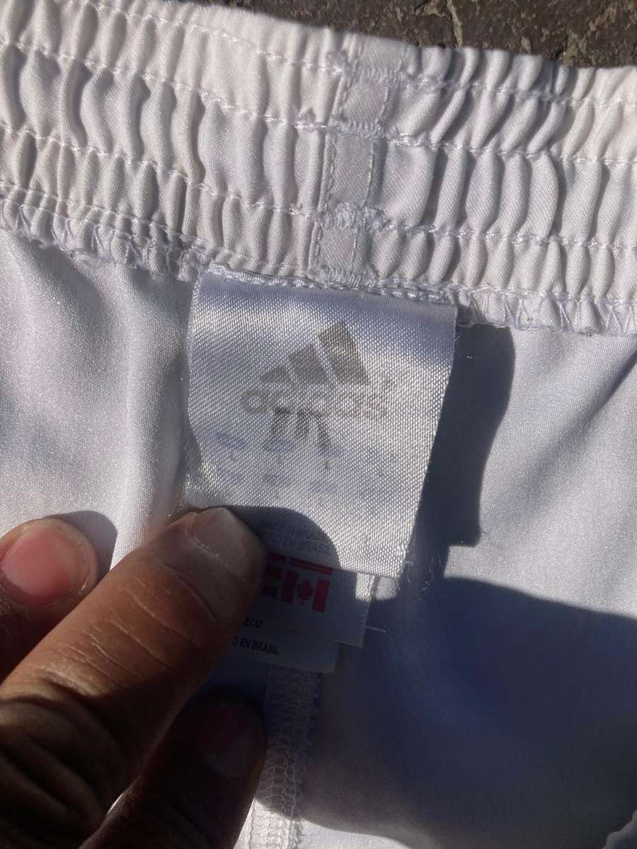 Rugby: Springbok Players Tracksuit Top