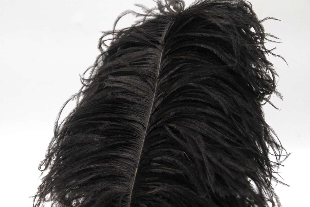 SADF: PRESIDENTS GUARD CAP 1960s