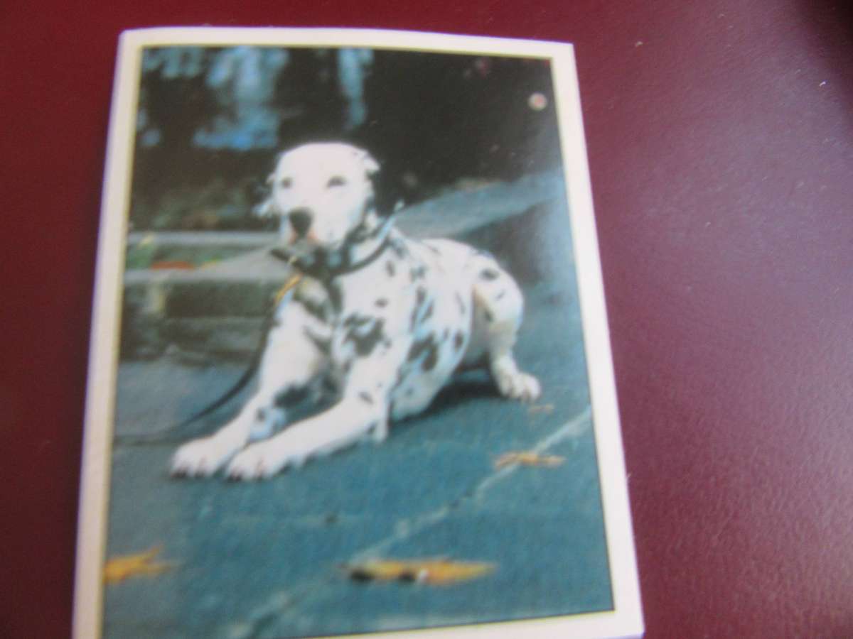PANINI -DALMATIONS NO.23 - D1