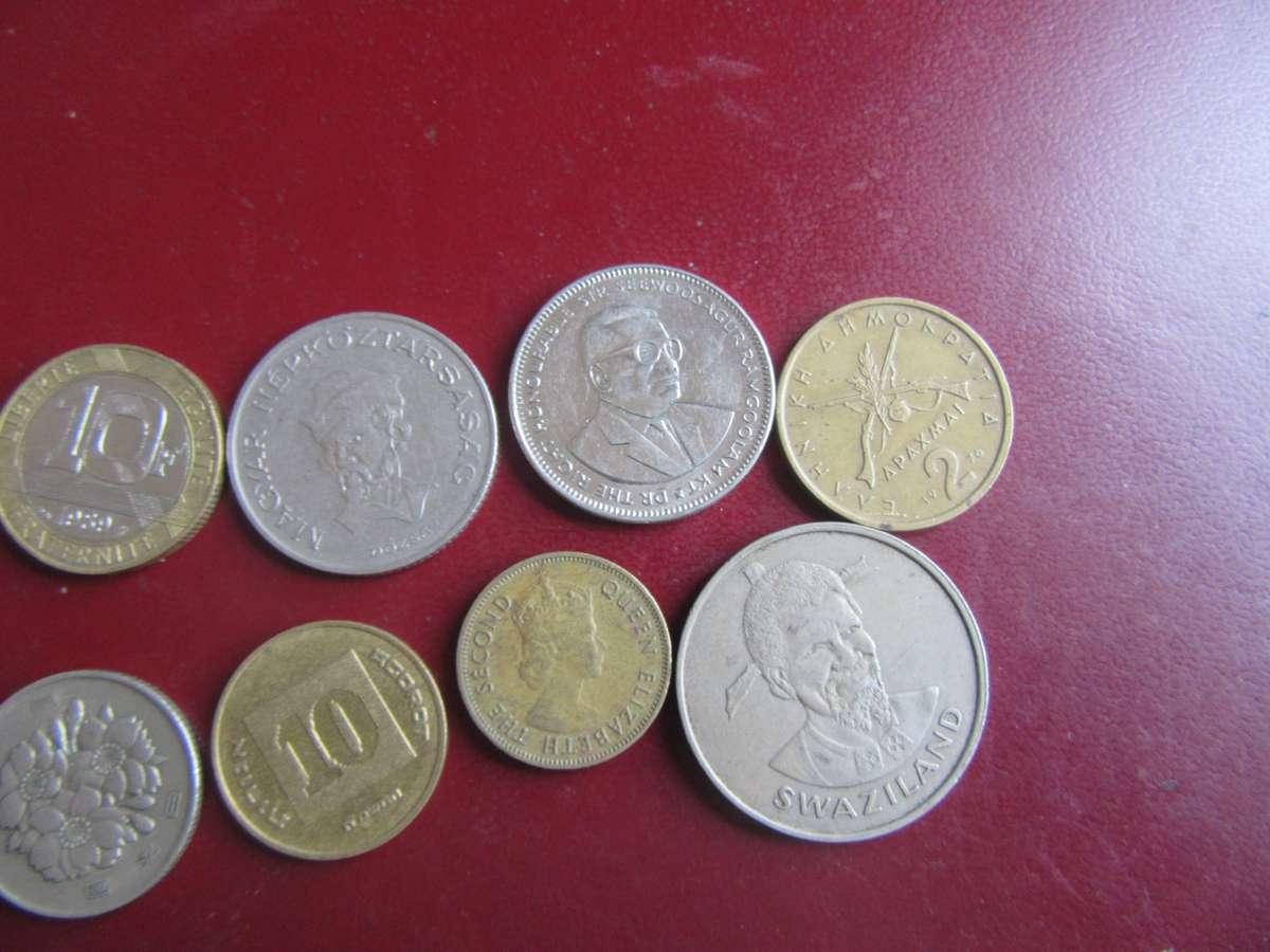 GOOD START FOR THE BEGINNER - 10 INTERNATIONAL COINS - AS PER SCAN - CO29A