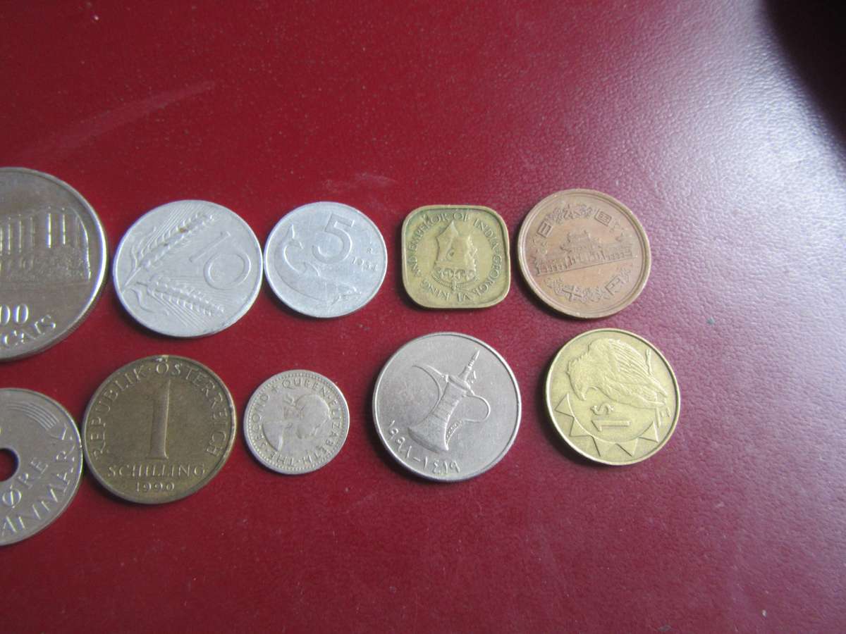 GOOD START FOR THE BEGINNER - 19 INTERNATIONAL COINS - AS PER SCAN - AS10