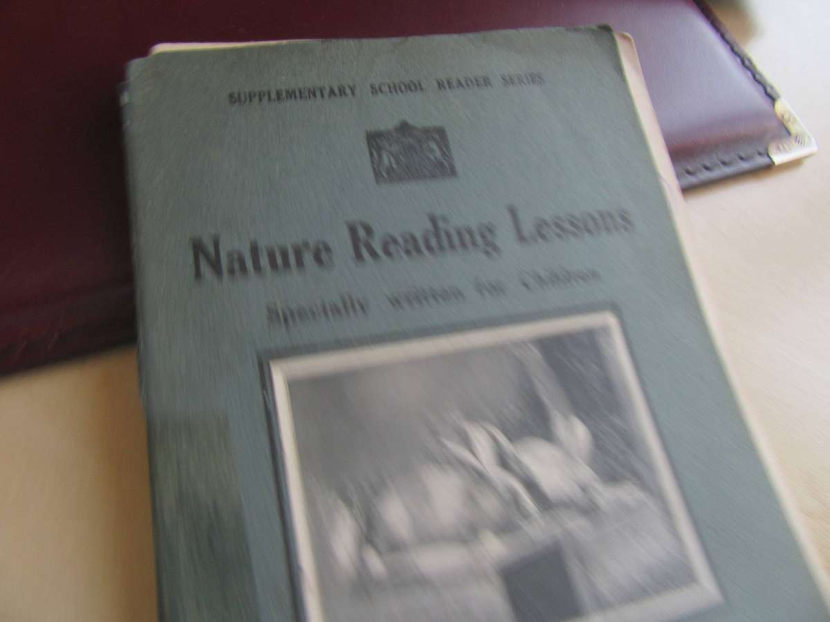 CLEARANCE11 35 OLD CHILDREN'S BOOKS IN FAIR CONDITIONS - BID PER BOOK