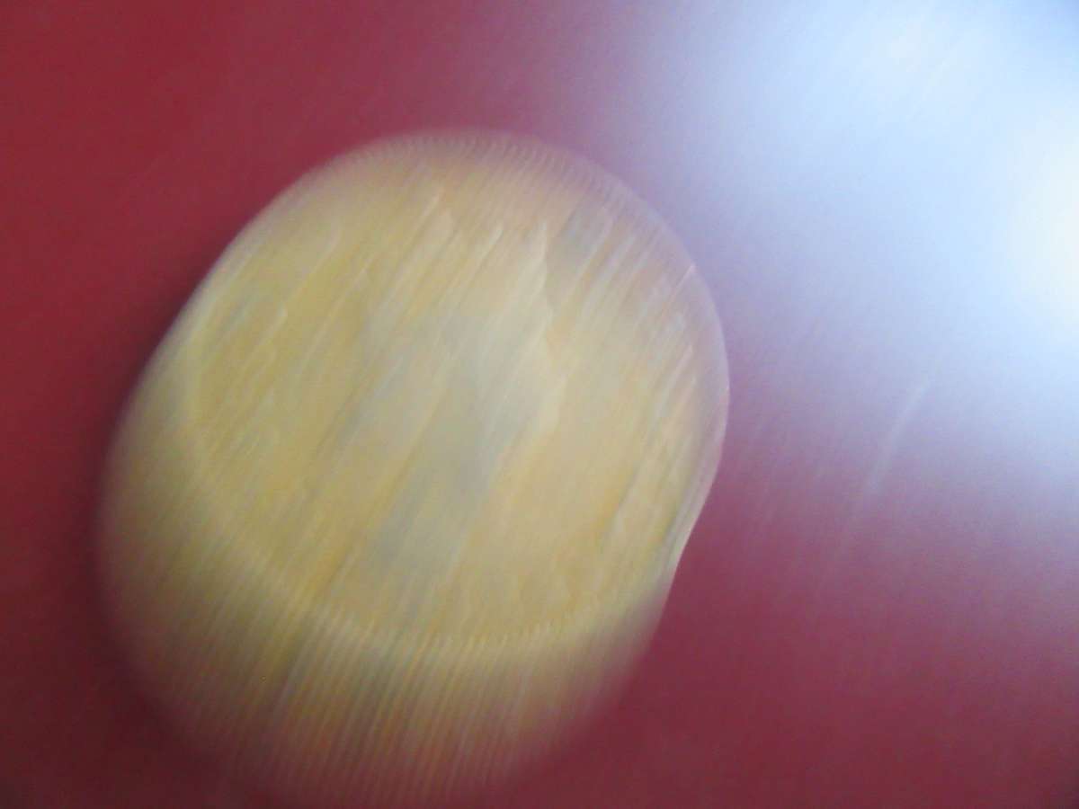 MAURITIUS - 5 CENTS 1970 - AS9