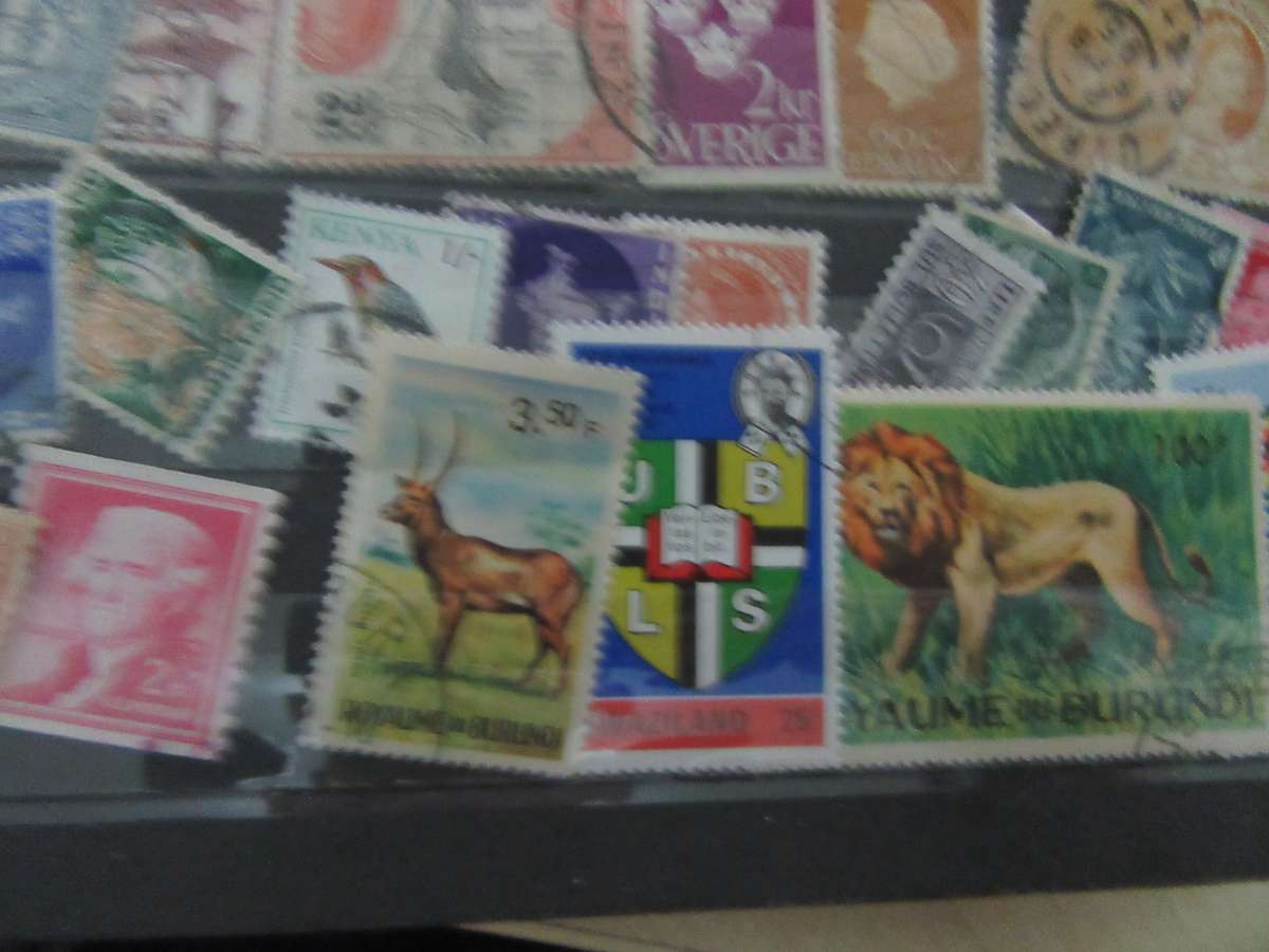 GOOD START FOR THE BEGINNER - 50 INTERNATIONAL STAMPS - AS PER SCAN - INT14